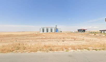 Polat agro tarım ürünleri lisanslı depoculuk a.ş