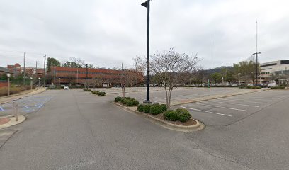 Alys Stephens Center Parking