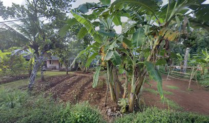 Rumah Sigit Permono(Yoga)