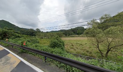 熊野古道 大辺路 田原湿原