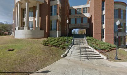 Andrew F. Brimmer College of Business and Information Sciences