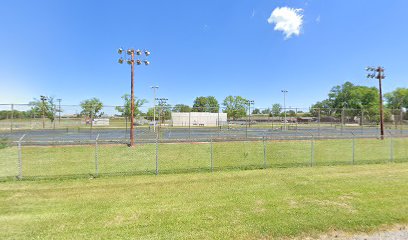 Lucas County-tennis court