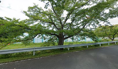 平内町Ｂ＆Ｇ海洋センター