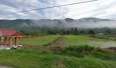 Kampung Sawah Liat, Jalan Kuala Pilah