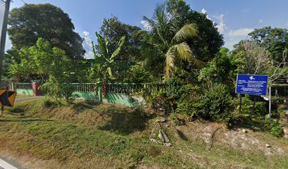 Nursery Bunga Paya Rumput