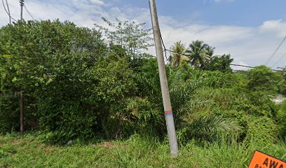 Tenaga Nasional Berhad