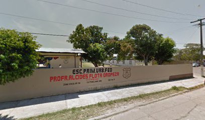 Escuela Primaria Profesor Alcides Flota Oropeza