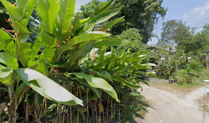 Slow Boat and Bus to Laos