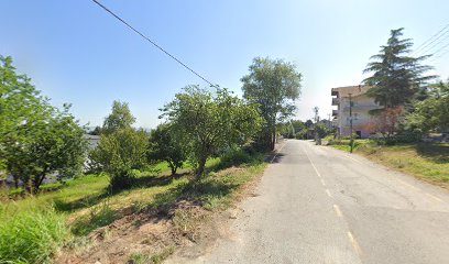 beyaz zambak gündüz bakım evi