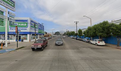 Vinicola Regional de Ensenada (Viresa)