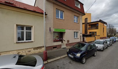 Biorezonance Liberec - pobočka Mladá Boleslav