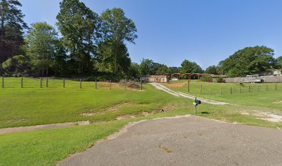 Shows Cemetery