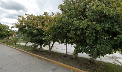 Cancha de Básquetbol