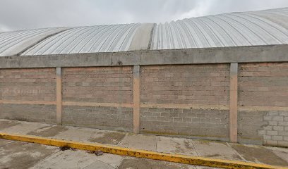 Auditorio San Nicolás Tecomatlan