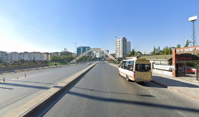 Karaca hom