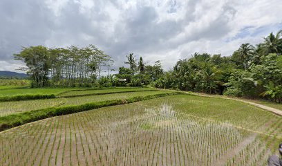 Makam Setuwan Cangkrep Kidul Purworejo