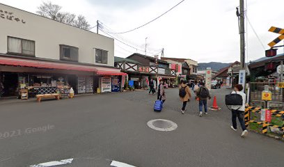 Hakone Yosegi, Gora Store