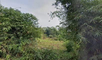 KEBON AWI