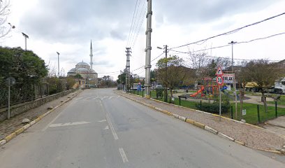 Seçkin Emlak