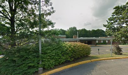 Casimir Pulaski Elementary