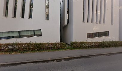 Institut für Anglistik - Karl Franzens Universität Graz