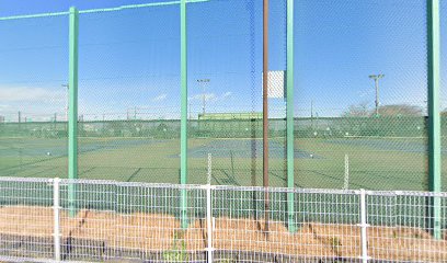 ふじみ野運動公園テニスコート