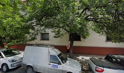 Instituto De Educación Especial 8030