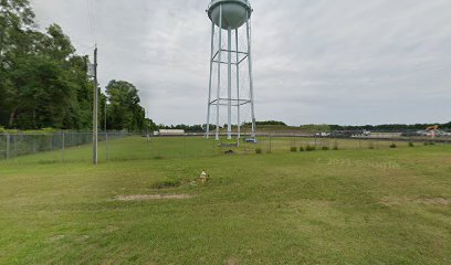 Lee Water Tower/Madison County