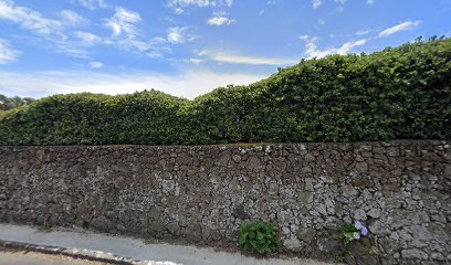 Quinta das Camélias - Açores