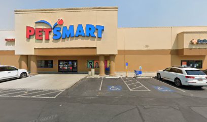 PetSmart Dog Training