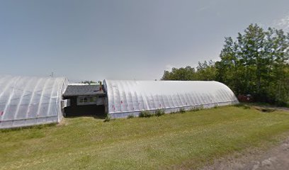 Les Serres LeBlanc Greenhouses