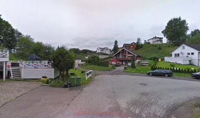 Røyskattveien