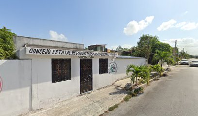 Seguros Mena