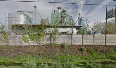 Planta silos Vitra Chillan