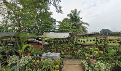 LAPAK MERPATI SBR REBORN LEUWILIANG