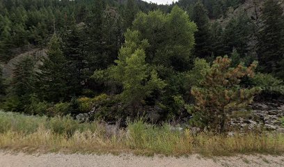 Sherwood Forest, Boulder Canyon