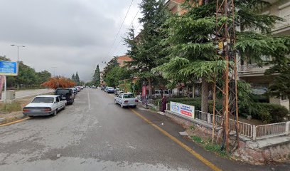 Op. Dr. Levent Baltacı Böbrek-idrar Yolu Hastanesi