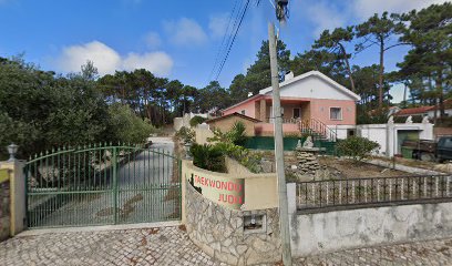 Clube Taekwondo De Sintra