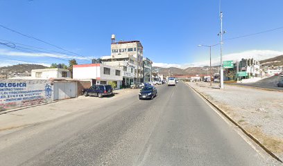 MOTOSIERRAS Y PODADORAS GARBEL