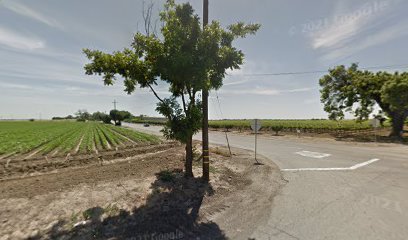 Almond Lane Farm Stand