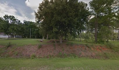 Bouie Wilson Cemetery