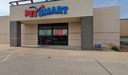 PetSmart Dog Training