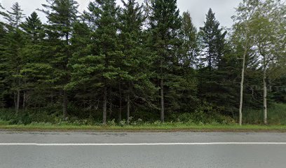 Les kayaks de La Rivière Sauvage