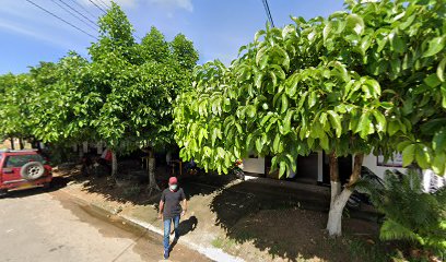 Vivero del Cusiana