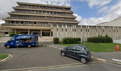 diriger au feminin Bayonne