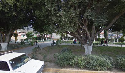 Parque Alseseca