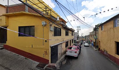 GUADALUPE GUERRERO TERAPEUTA ( ACUPUNTURA Y AURICULOTERAPIA)