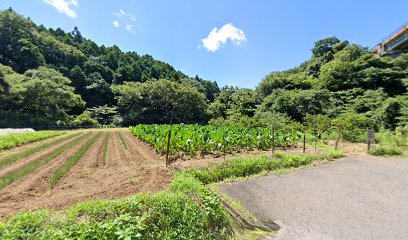 円海山 遊水池への分岐