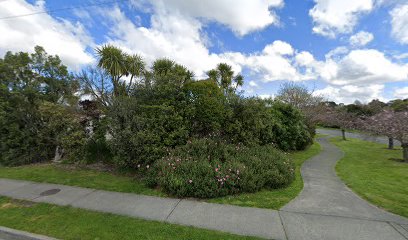 Taoist Tai Chi Society of NZ