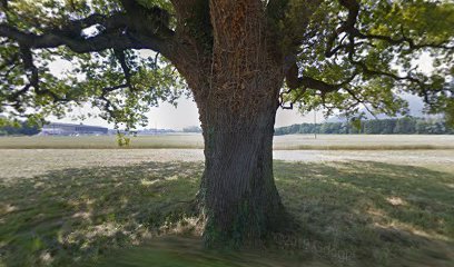 Volet Charpentiers Bâtisseurs SA